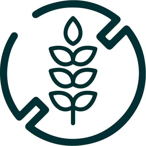 Wheat stalk inside circular arrows icon representing sustainable agriculture